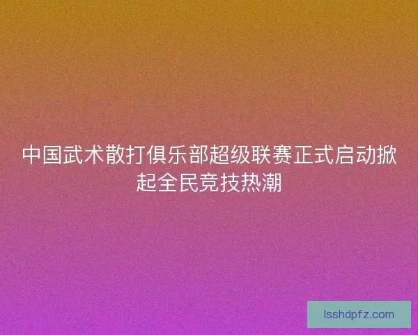 中国武术散打俱乐部超级联赛正式启动掀起全民竞技热潮