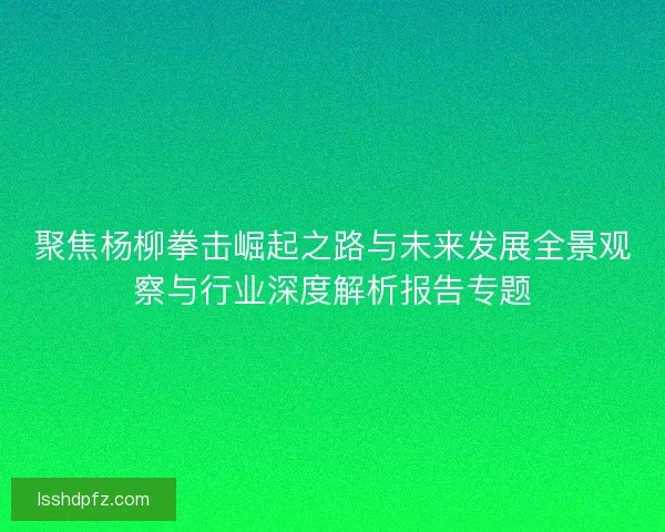 聚焦杨柳拳击崛起之路与未来发展全景观察与行业深度解析报告专题