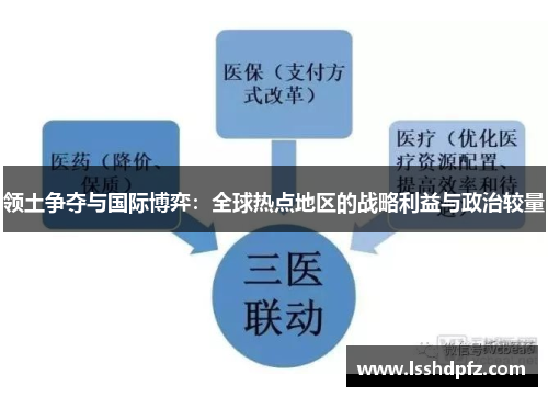 领土争夺与国际博弈：全球热点地区的战略利益与政治较量